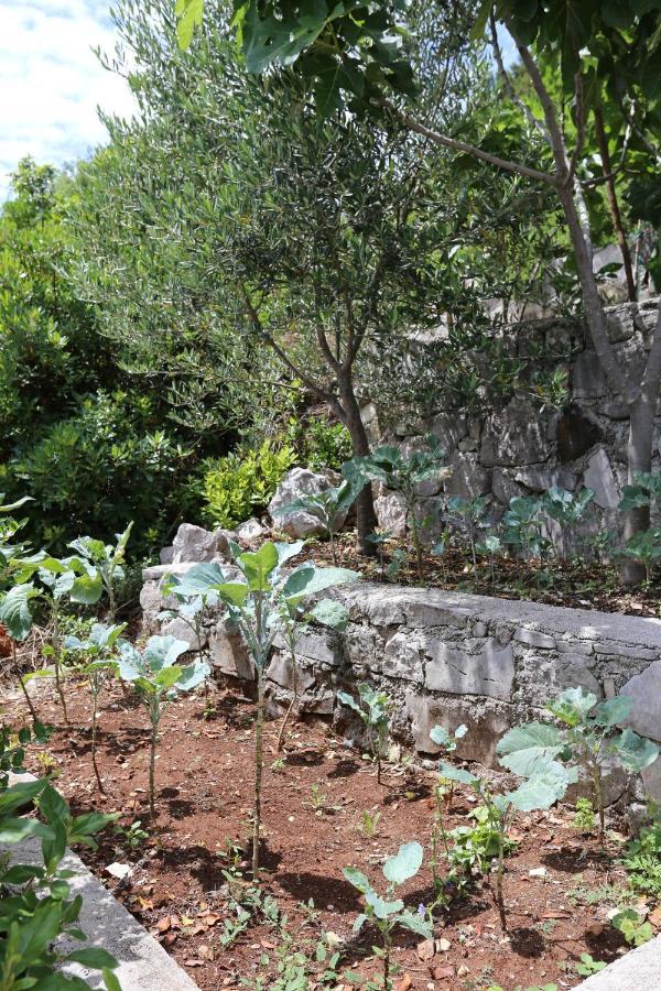 Apartments By The Sea Kabli, Peljesac - 10221 Brijesta Bagian luar foto
