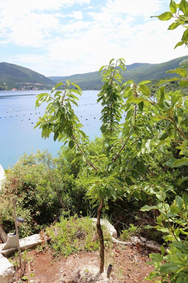 Apartments By The Sea Kabli, Peljesac - 10221 Brijesta Bagian luar foto